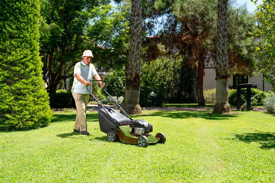 best grass cutter